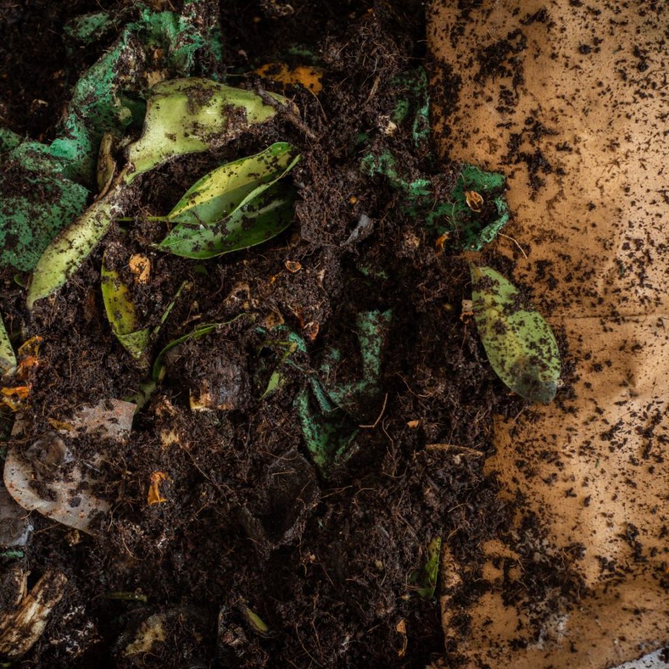 Compostaggio Rifiuti Come ridurre i rifiuti – Raccolta Differenziata Nuorese